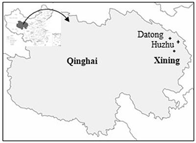 Phenotyping and Genotyping Analyses Reveal the Spread of Puccinia striiformis f. sp. tritici Aeciospores From Susceptible Barberry to Wheat in Qinghai of China